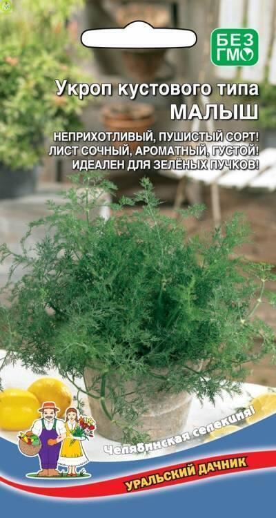 Купить оптом в Ботанике семена Укроп Малыш УД бренд Уральский дачник