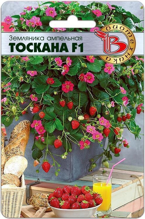Купить оптом в Ботанике семена Земляника Тоскана F1 Био бренд Биотехника