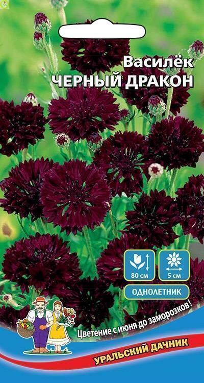 Купить оптом в Ботанике семена Василёк Черный дракон УД бренд Уральский дачник