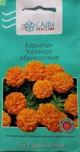 Купить оптом в Ботанике семена Бархатцы Каландо абрикосовые СиО бренд Сад и огород