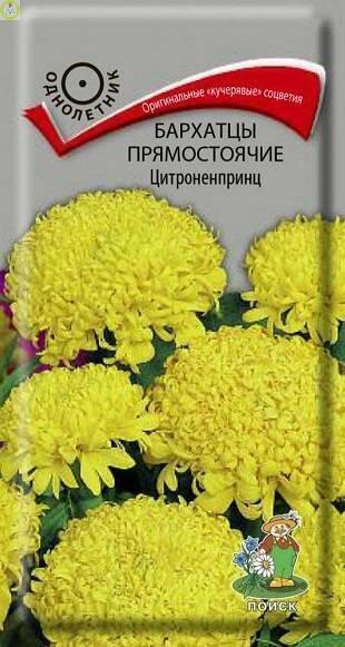 Купить оптом в Ботанике семена Бархатцы Цитроненпринц прямостоячие Поиск бренд Поиск