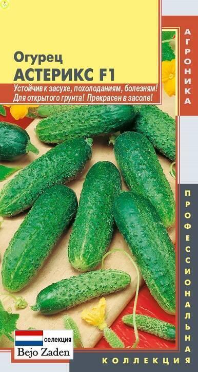 Купить оптом в Ботанике семена Огурец Астерикс F1 Плз бренд Плазмас