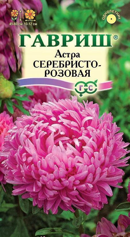 Купить оптом в Ботанике семена Астра Серебристо-розовая Гав бренд Гавриш
