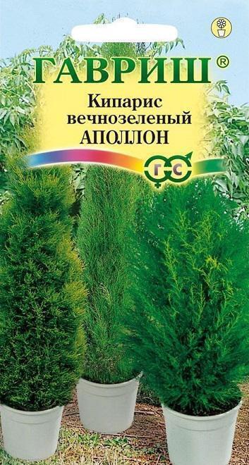 Купить оптом в Ботанике семена Кипарис Аполлон Гав бренд Гавриш