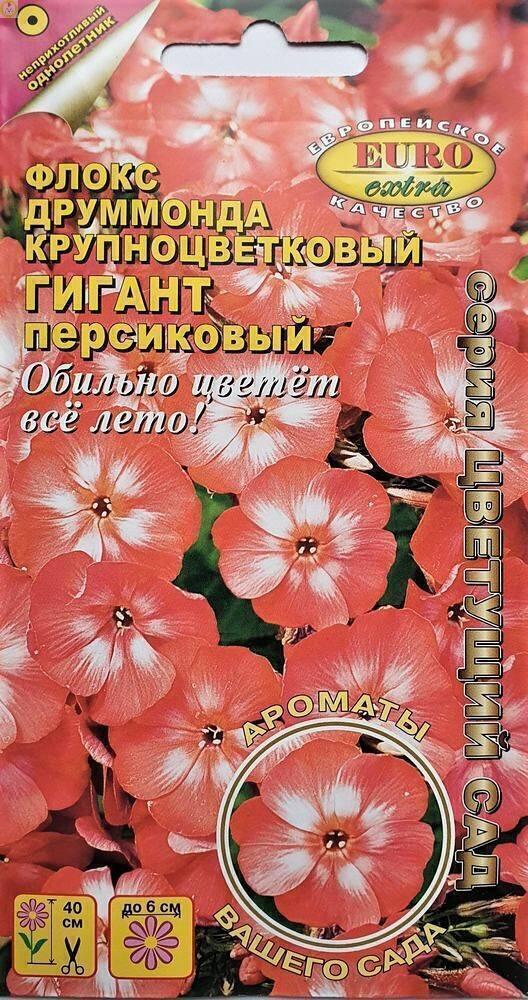 Купить оптом в Ботанике семена Флокс Гигант персиковый крупноцветковый Аэл бренд Аэлита