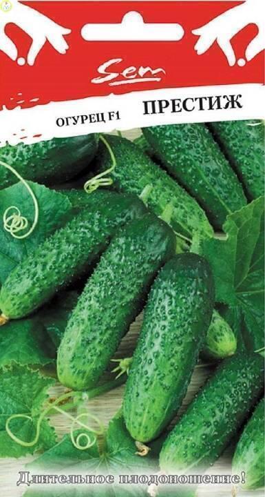 Купить оптом в Ботанике семена Огурец Престиж F1 НК бренд НК