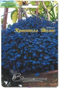 Купить оптом в Ботанике семена Лобелия Кристал Палас Био бренд Биотехника