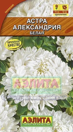 Купить оптом в Ботанике семена Астра Александрия белая Аэл бренд Аэлита