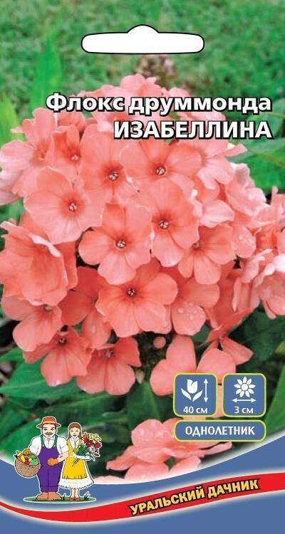 Купить оптом в Ботанике семена Флокс Изабеллина друммонда УД бренд Уральский дачник