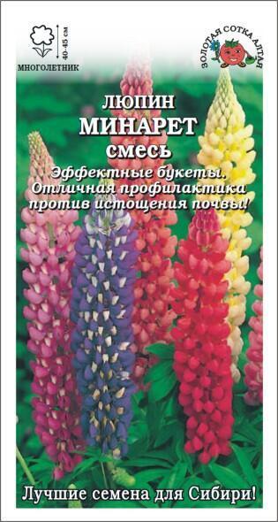 Купить оптом в Ботанике семена Люпин Минарет ЗС бренд Золотая сотка