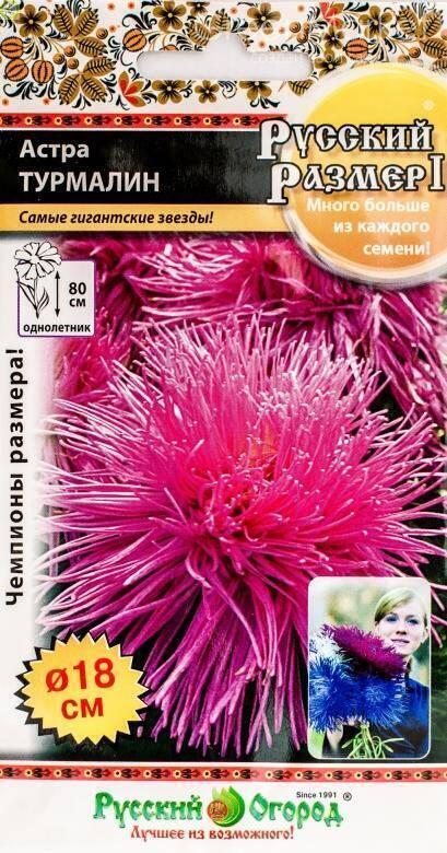 Купить оптом в Ботанике семена Астра Русский размер турмалин НК бренд НК