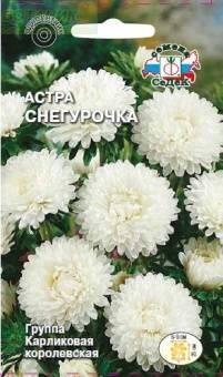 Купить оптом в Ботанике семена Астра Снегурочка королевская Сед бренд СеДеК