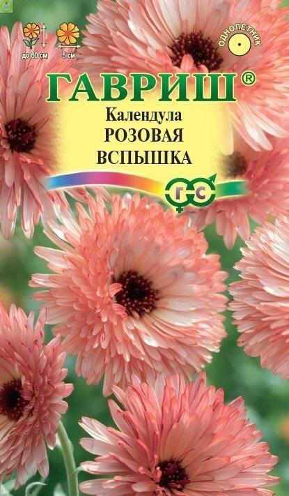 Купить оптом в Ботанике семена Календула Розовая вспышка Гав бренд Гавриш
