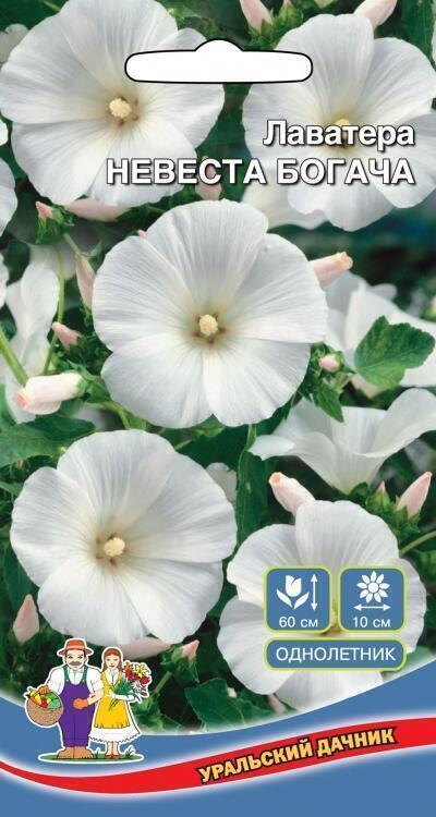 Купить оптом в Ботанике семена Лаватера Невеста богача УД бренд Уральский дачник