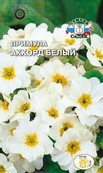 Купить оптом в Ботанике семена Примула Аккорд белый Сед бренд СеДеК