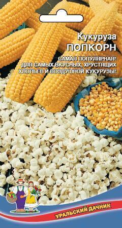 Купить оптом в Ботанике семена Кукуруза Попкорн УД бренд Уральский дачник