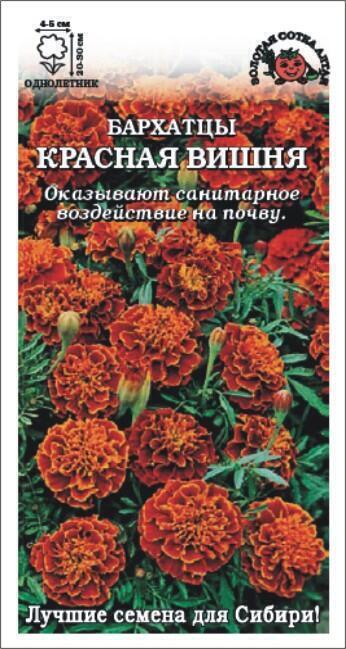 Купить оптом в Ботанике семена Бархатцы Красная Вишня цветной ЗС бренд Золотая сотка