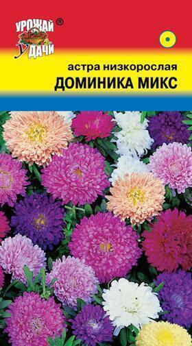 Купить оптом в Ботанике семена Астра Доминика смесь микс УУ бренд Урожай Удачи
