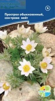Купить оптом в Ботанике семена Прострел Сон трава белый Акв бренд Акварель