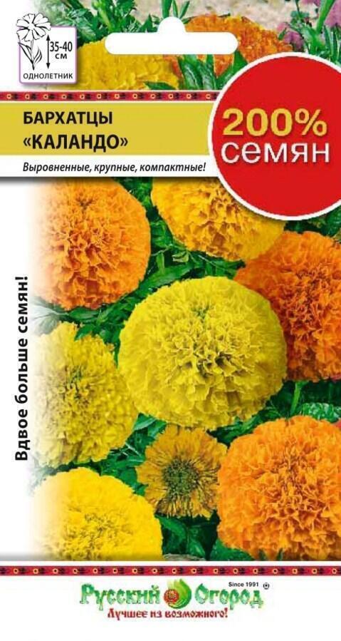 Купить оптом в Ботанике семена Бархатцы Каландо смесь 200% НК бренд НК