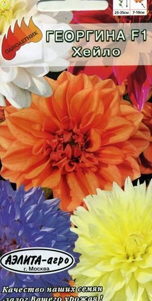 Купить оптом в Ботанике семена Георгина Хейло F1 Аэл бренд Аэлита