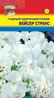 Купить оптом в Ботанике семена Годеция Вейсер Страус УУ бренд Урожай Удачи