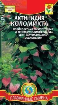 Купить оптом в Ботанике семена Актинидия Коломикта Плз бренд Плазмас