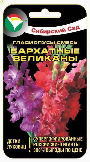 Купить оптом в Ботанике семена Гладиолус Бархатные великаны СС бренд Сиб.сад