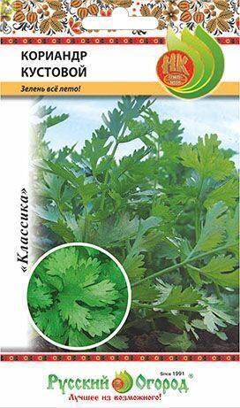 Купить оптом в Ботанике семена Кориандр Кустовой НК бренд НК