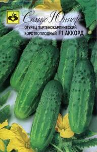 Купить оптом в Ботанике семена Огурец Аккорд F1 Сем бренд Семко