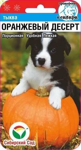 Купить оптом в Ботанике семена Тыква Оранжевый десерт СС бренд Сиб.сад