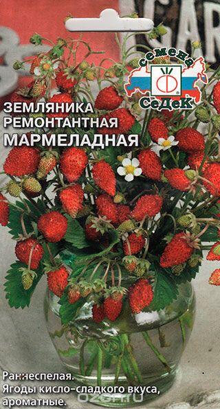Купить оптом в Ботанике семена Земляника Мармеладная Сед бренд СеДеК