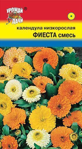 Купить оптом в Ботанике семена Календула Фиеста низкорослая УУ бренд Урожай Удачи