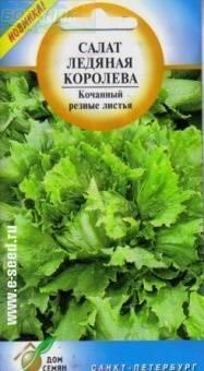 Купить оптом в Ботанике семена Салат Ледяная королева ССО бренд Сортсемовощ