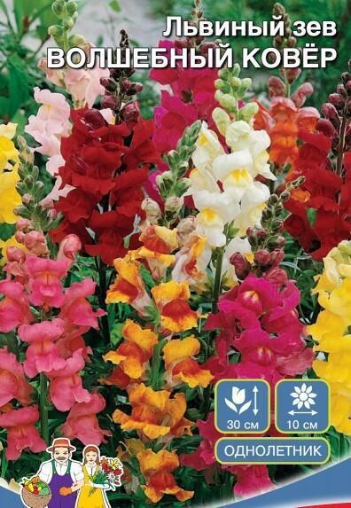 Купить оптом в Ботанике семена Львиный Зев Волшебный Ковер УД бренд Уральский дачник