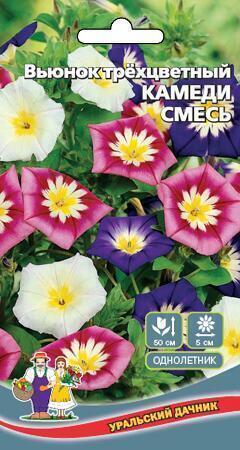 Купить оптом в Ботанике семена Вьюнок Камеди УД бренд Уральский дачник