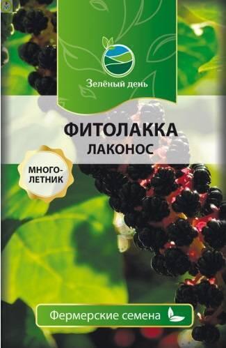 Купить оптом в Ботанике семена Фитолакка (лаконос) Реш бренд Решение, ООО