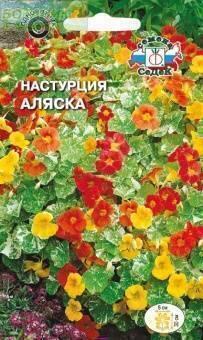 Купить оптом в Ботанике семена Настурция Аляска Сед бренд СеДеК