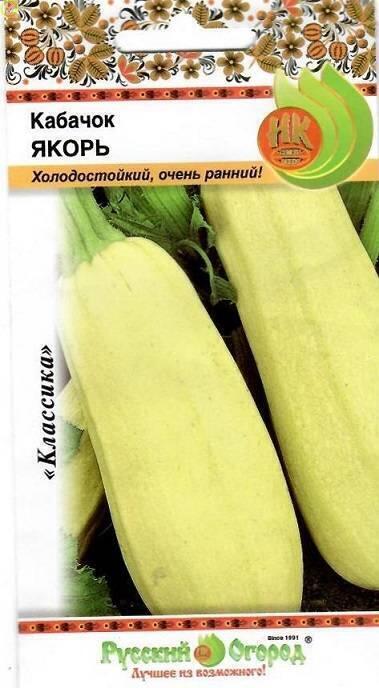 Купить оптом в Ботанике семена Кабачок Якорь цуккини НК бренд НК