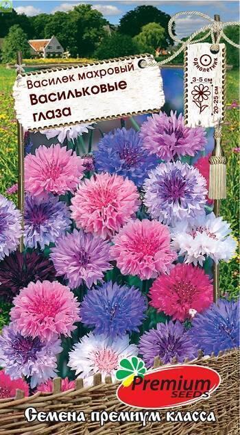 Купить оптом в Ботанике семена Василек Васильковые глаза смесь ПС бренд Премиум Сидс