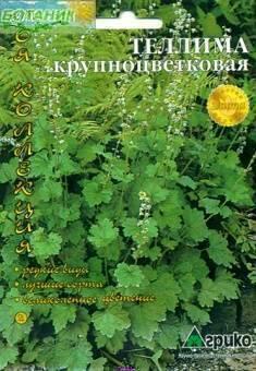 Купить оптом в Ботанике семена Теллима Крупноцветковая Агр бренд Агрико