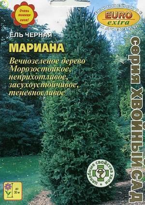 Купить оптом в Ботанике семена Ель Марианна черная Аэл бренд Аэлита