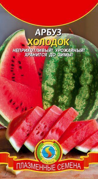 Купить оптом в Ботанике семена Арбуз Холодок Плз бренд Плазмас