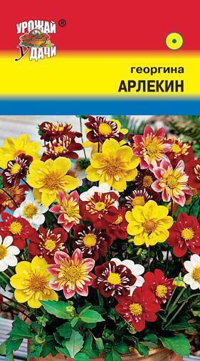 Купить оптом в Ботанике семена Георгина Арлекин смесь УУ бренд Урожай Удачи