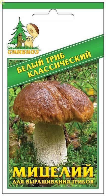Купить оптом в Ботанике семена Белый гриб классический Сим бренд НПМЛ СИМБИОЗ