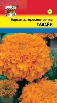 Купить оптом в Ботанике семена Бархатцы Гавайи УУ бренд Урожай Удачи