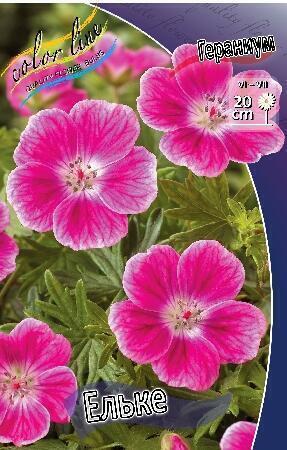 Купить оптом в Ботанике Гераниум Ельке 1 шт