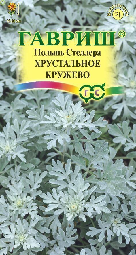 Купить оптом в Ботанике семена Полынь Хрустальное кружево Стеллера Гав бренд Гавриш