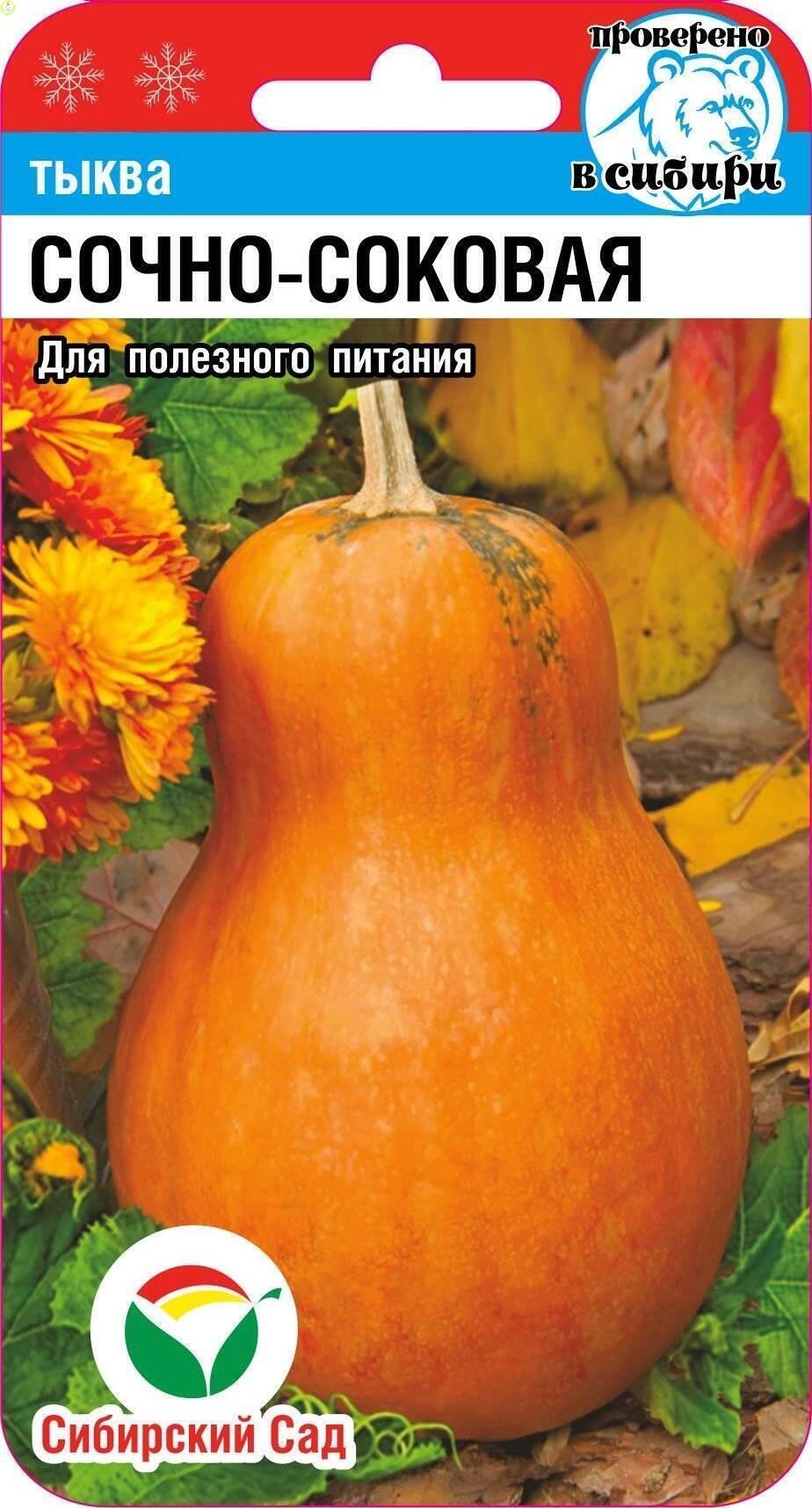 Купить оптом в Ботанике семена Тыква Сочно-соковая СС бренд Сиб.сад