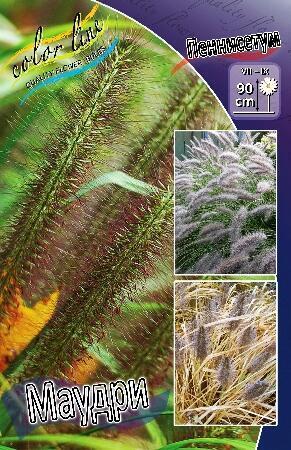 Купить оптом в Ботанике Пеннисетум Маудри 2 шт